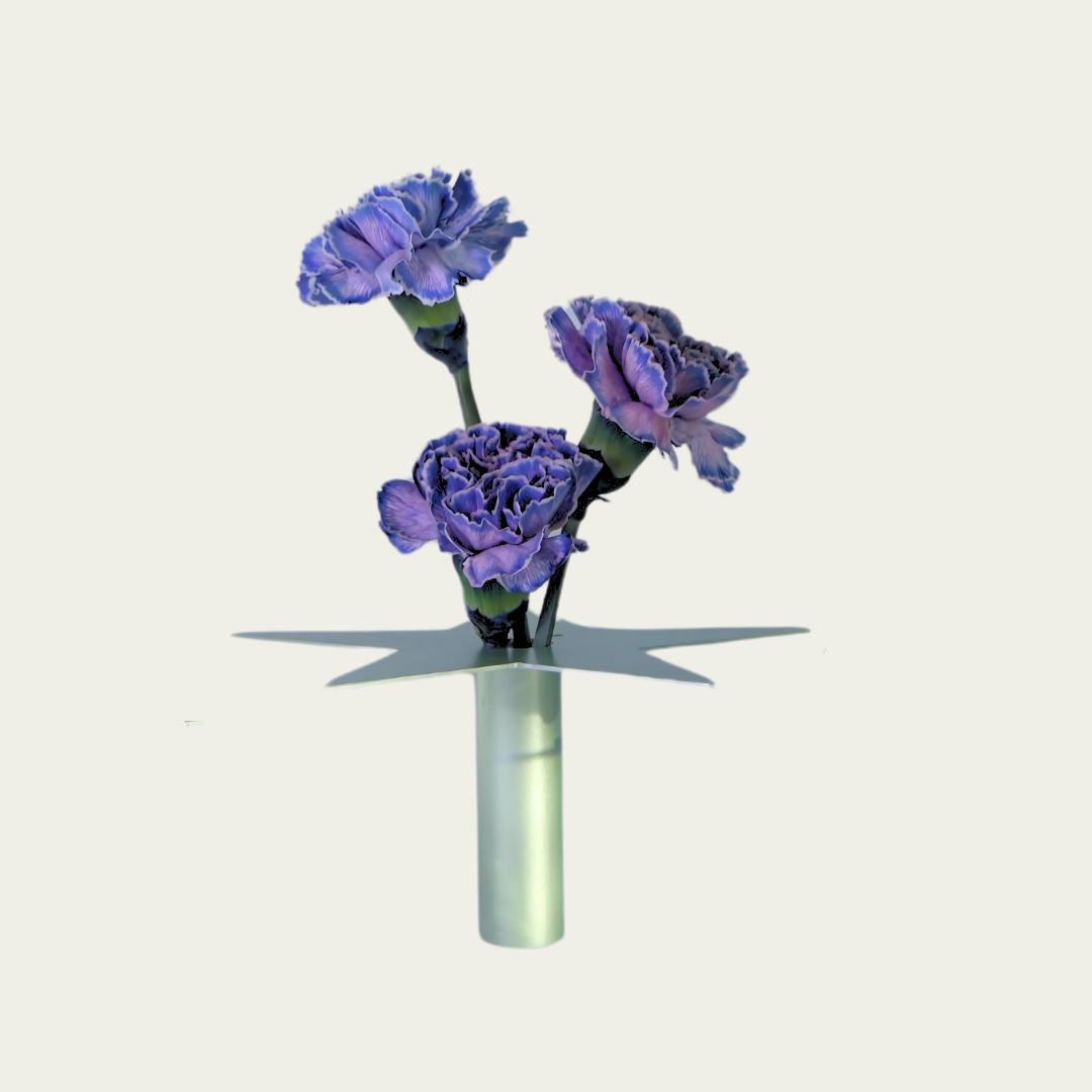 Wandering stars Large