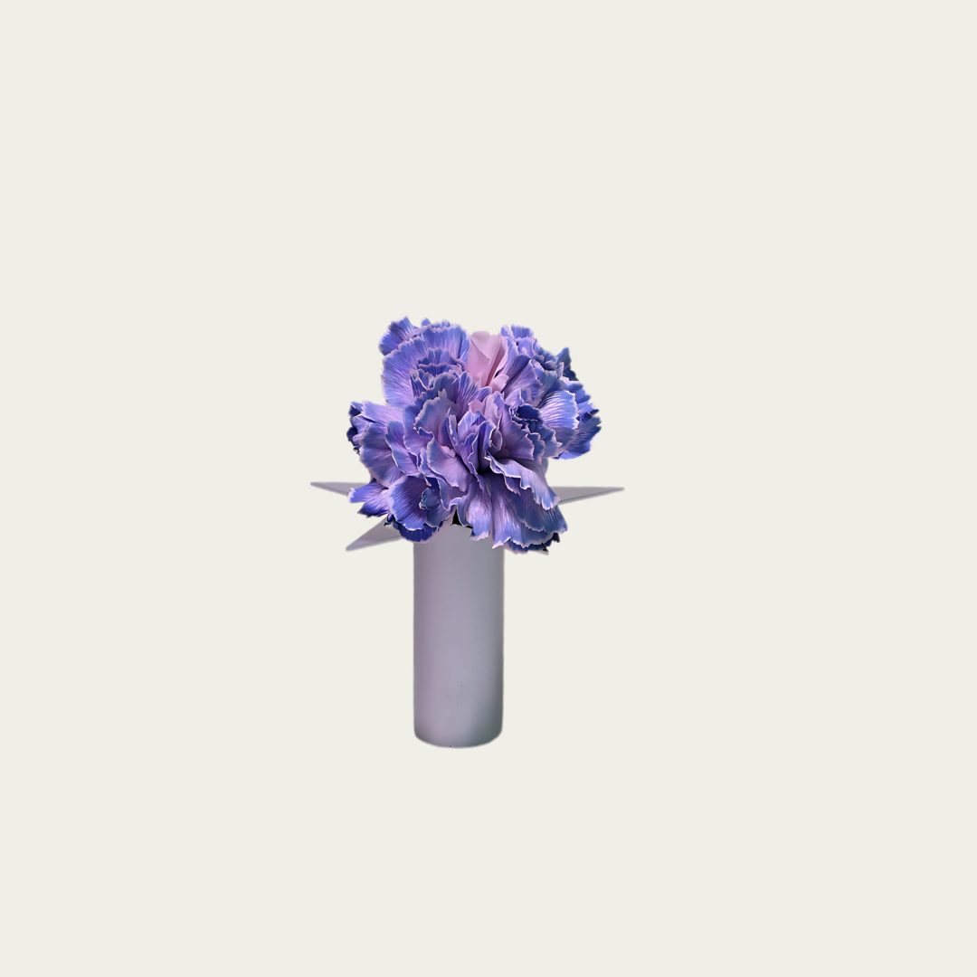 Wandering Stars Small