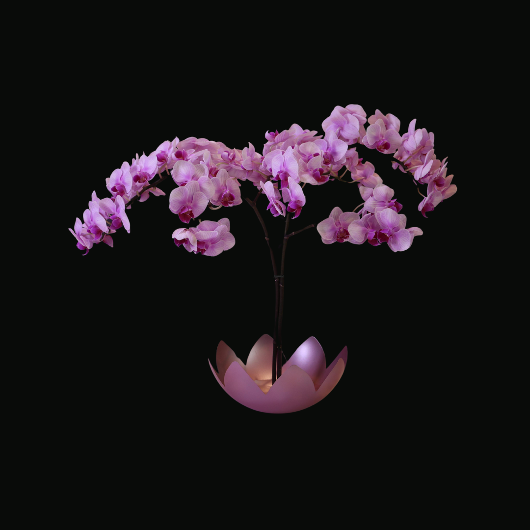 Whisper of the Lotus Pond