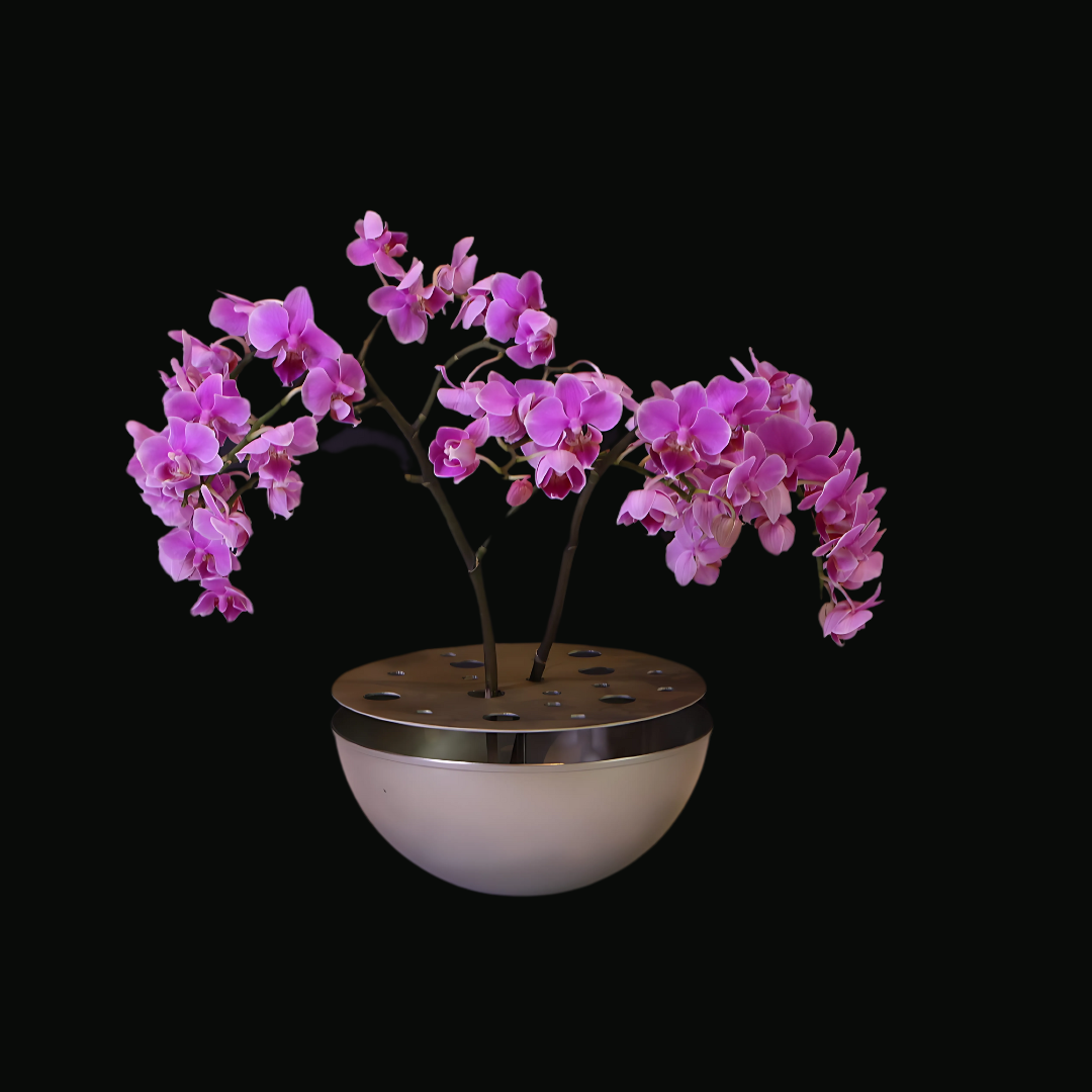 Whisper of the Lotus Pond