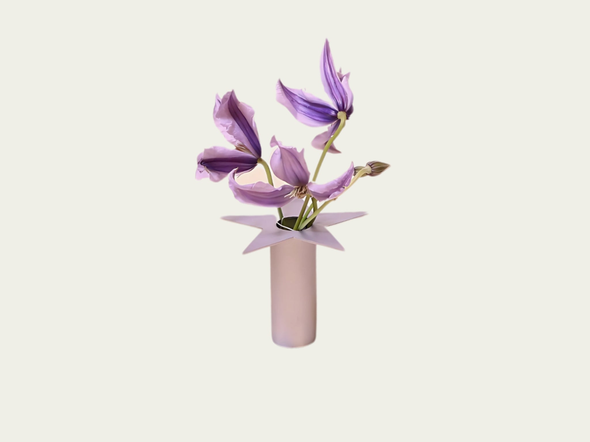 Wandering Stars Small