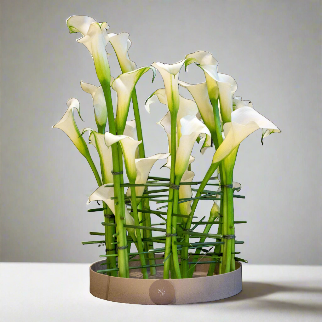 Sophisticated Calla