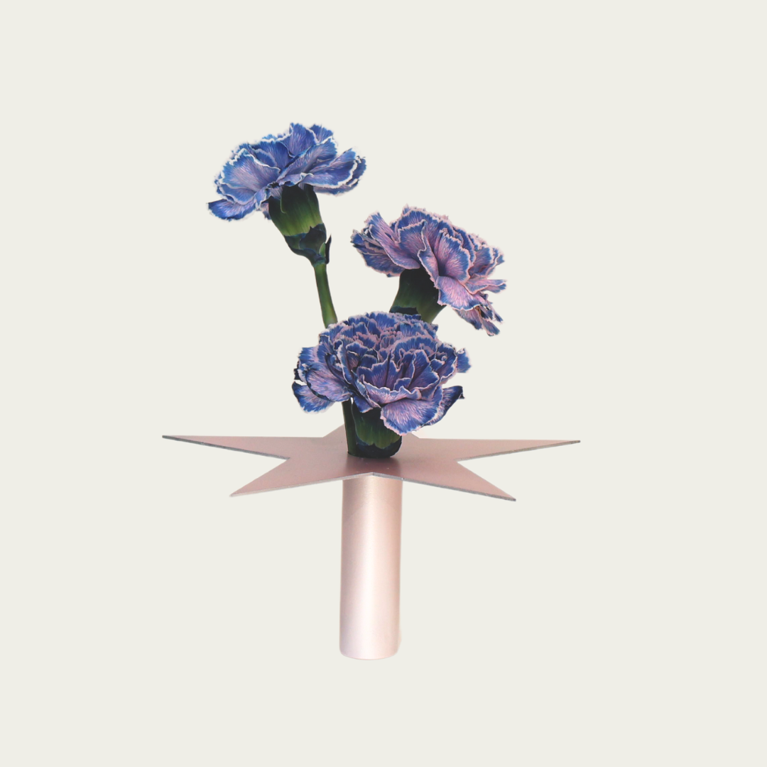 Wandering stars Large