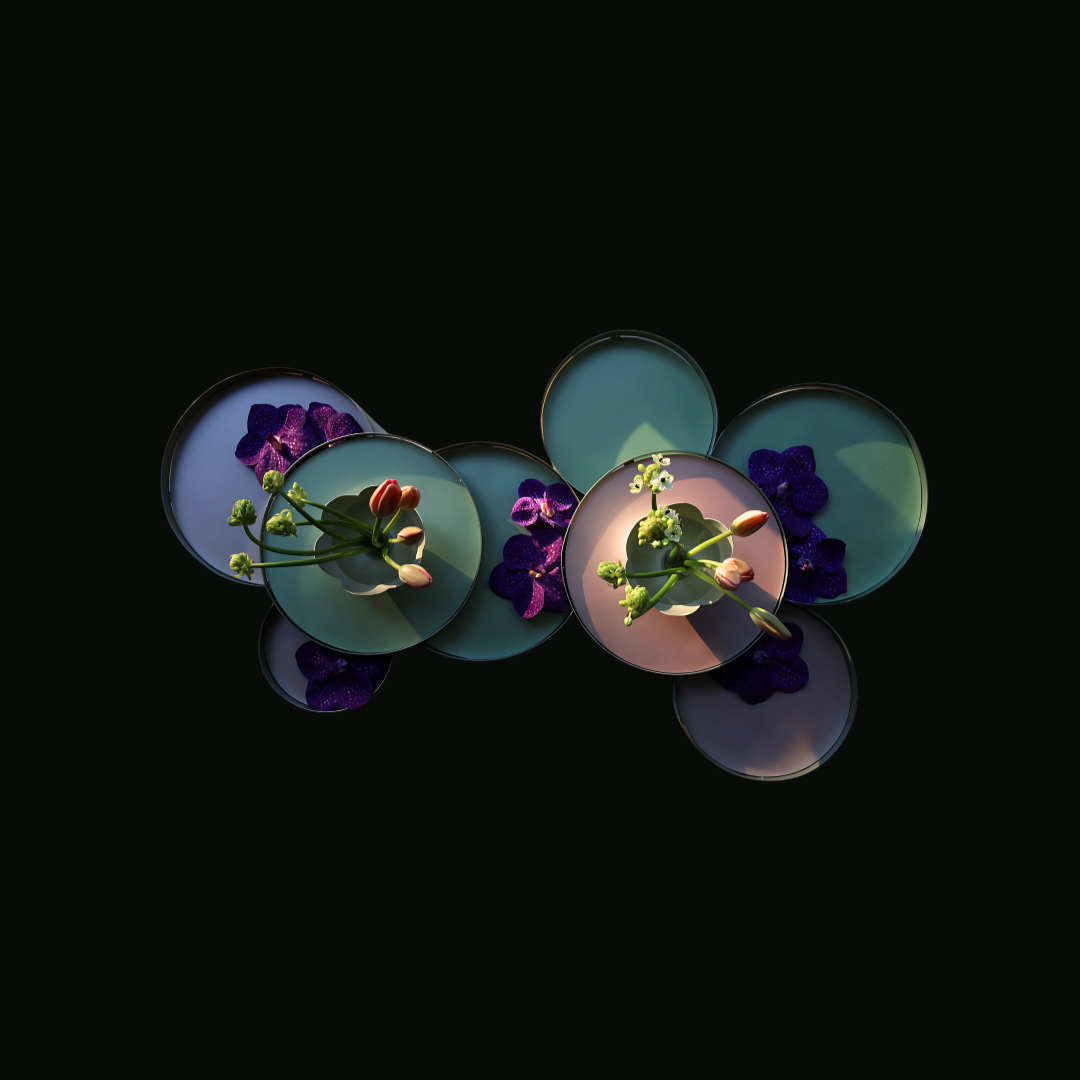 Whisper of the Lotus Pond