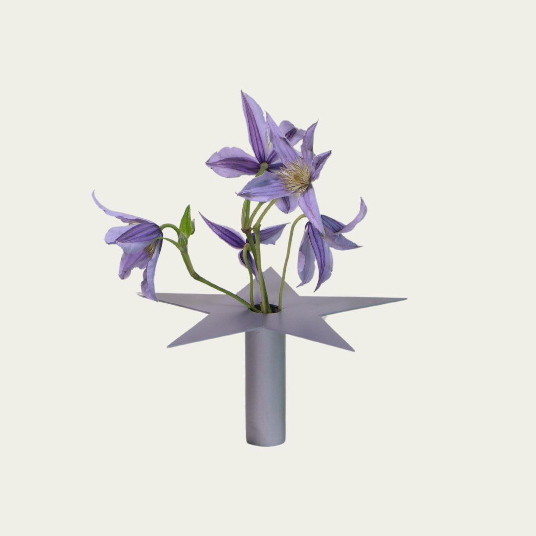 Wandering Stars Large