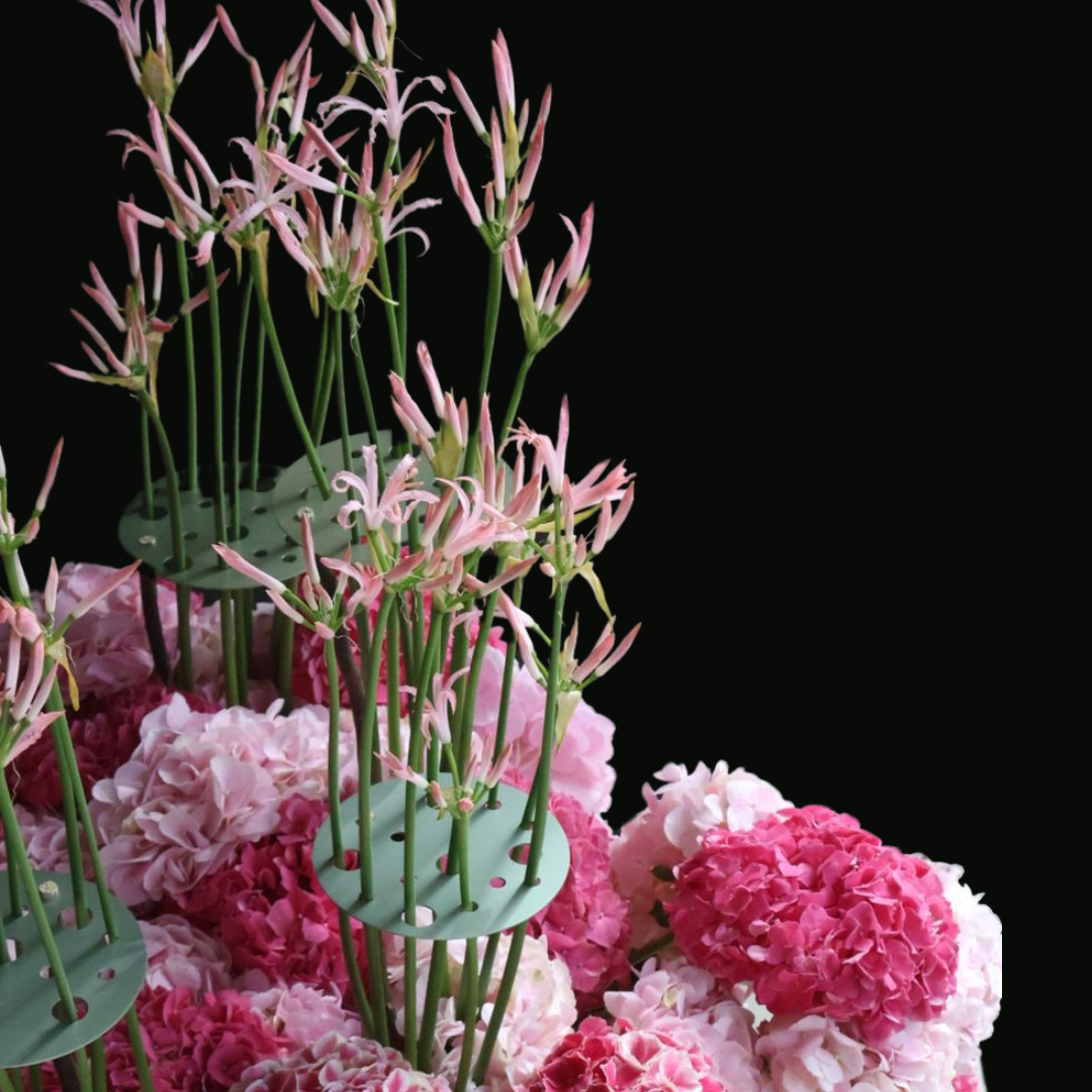 Whisper on the Lotus Pond