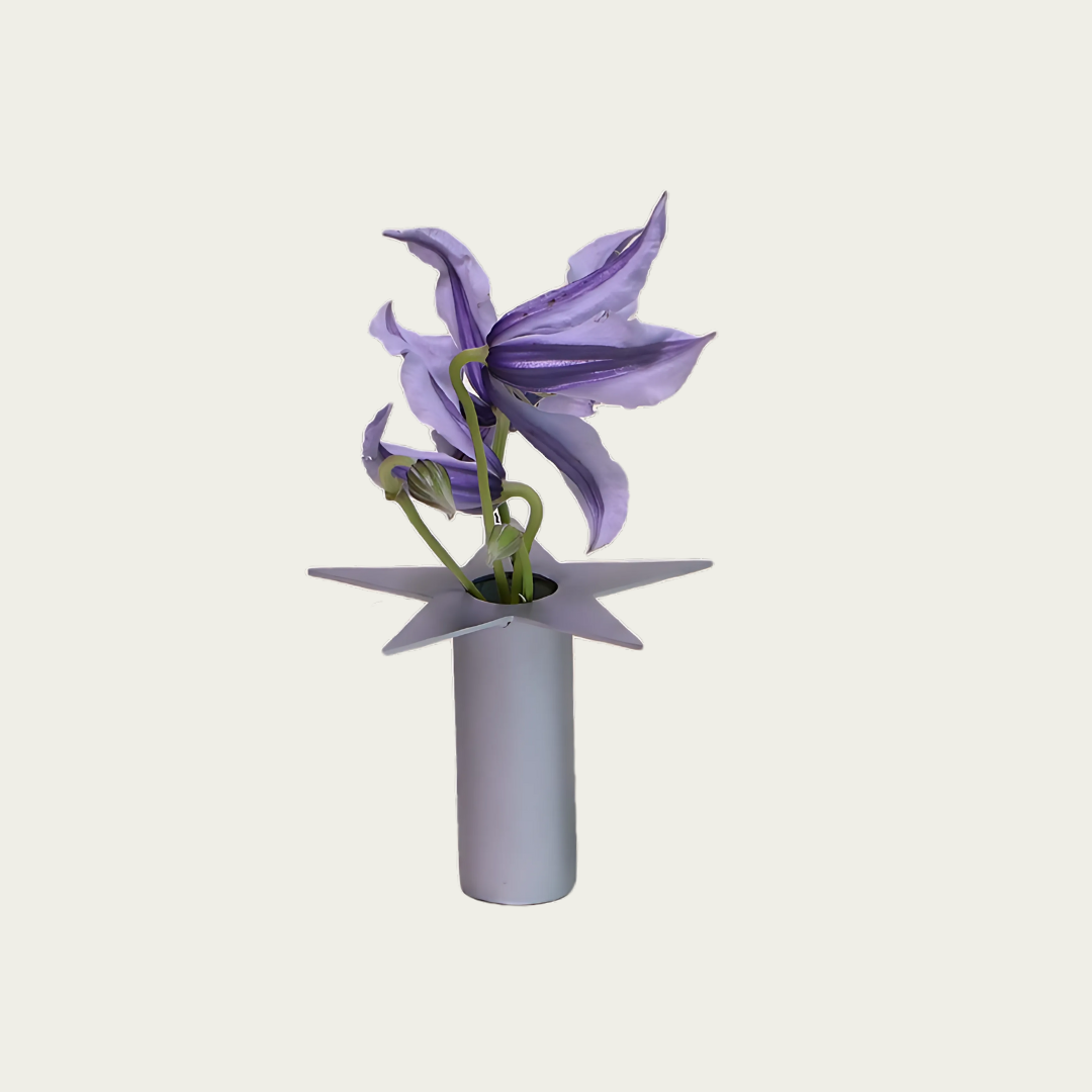 Wandering Stars Small