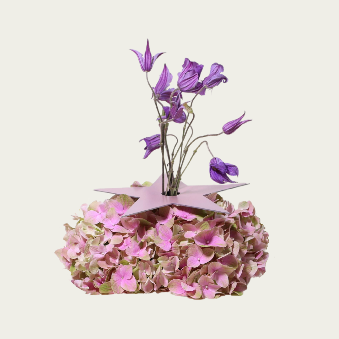 Wandering Stars Large