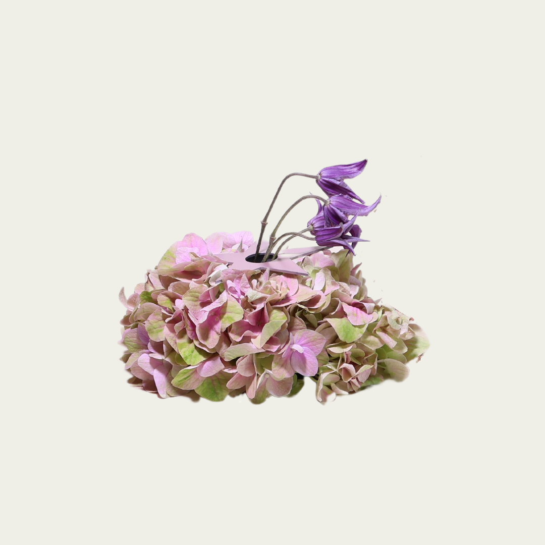 Wandering Stars Medium