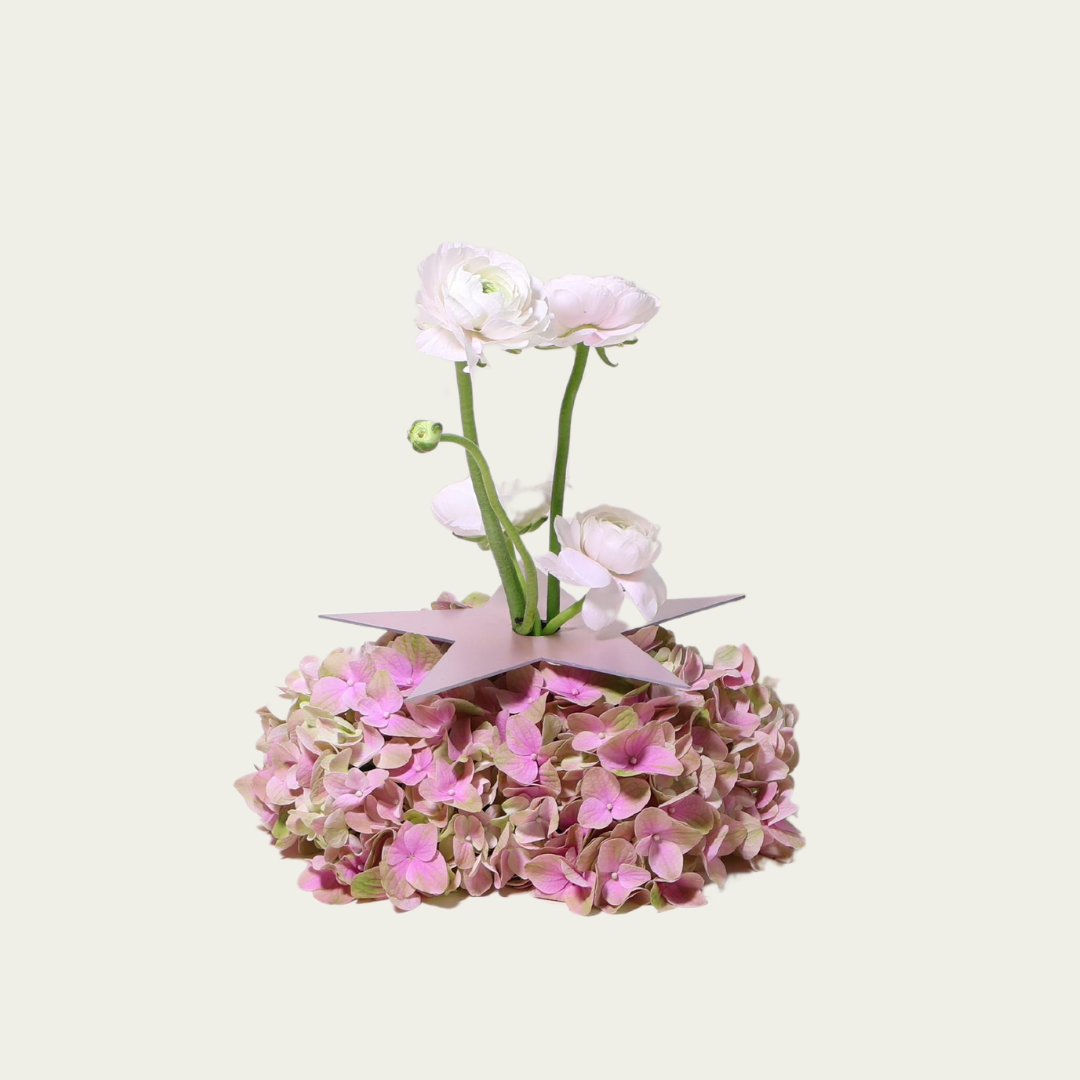 Wandering Stars Medium