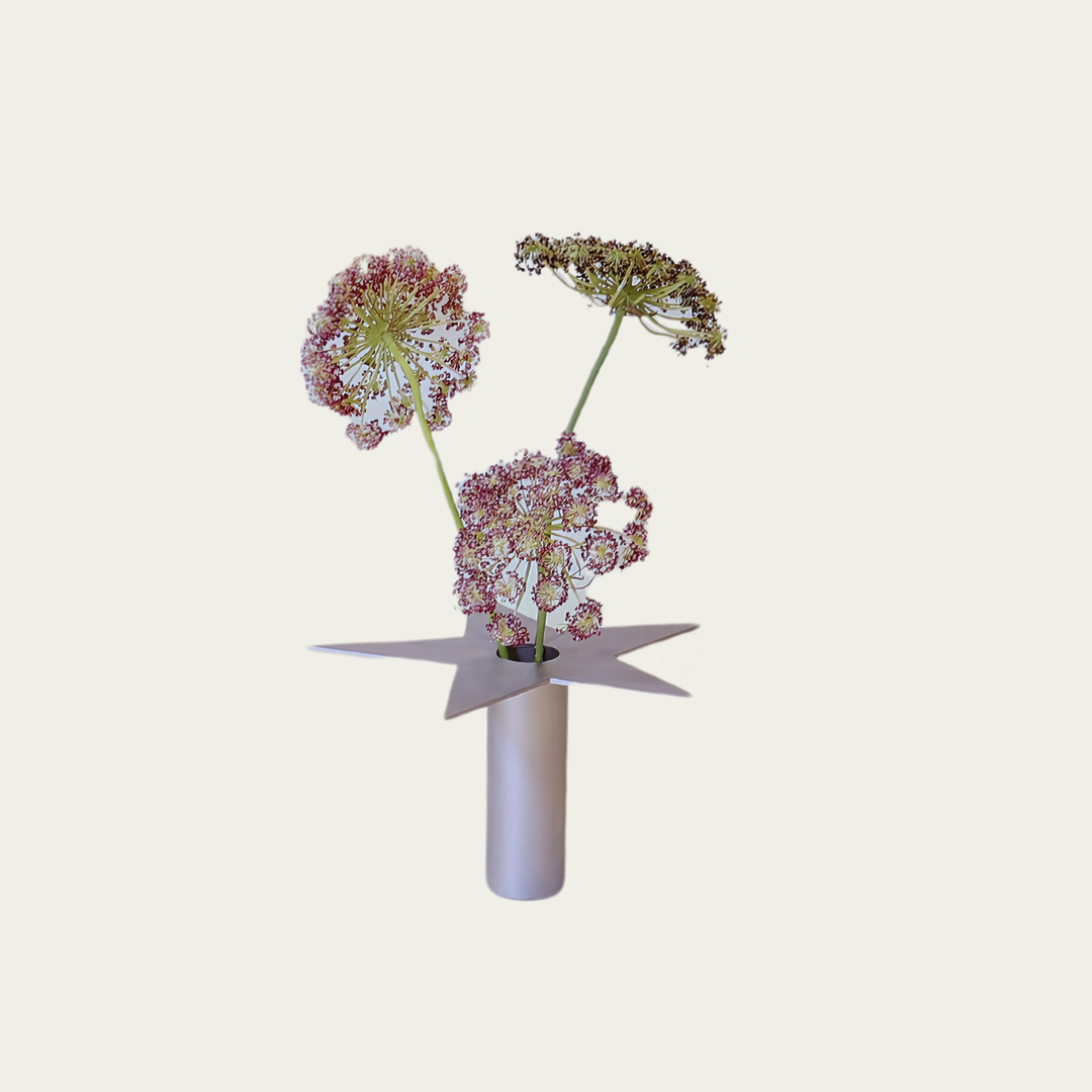 Wandering Stars Medium