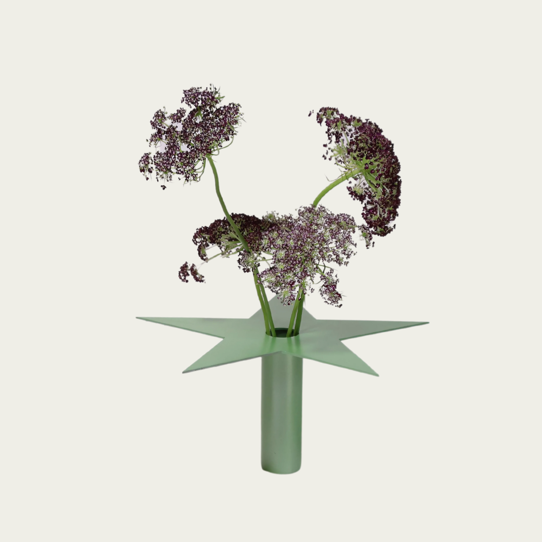 Wandering Stars Large