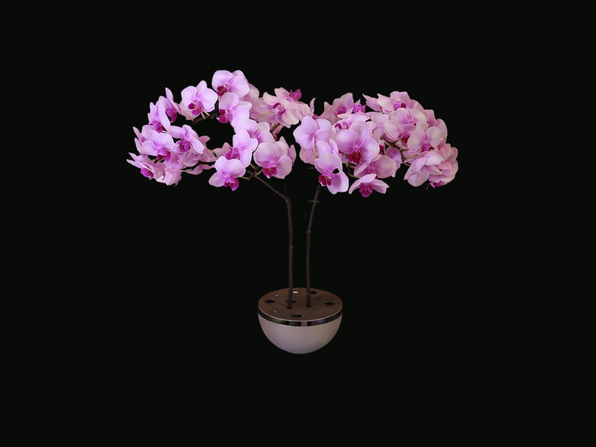 Whisper of the Lotus Pond