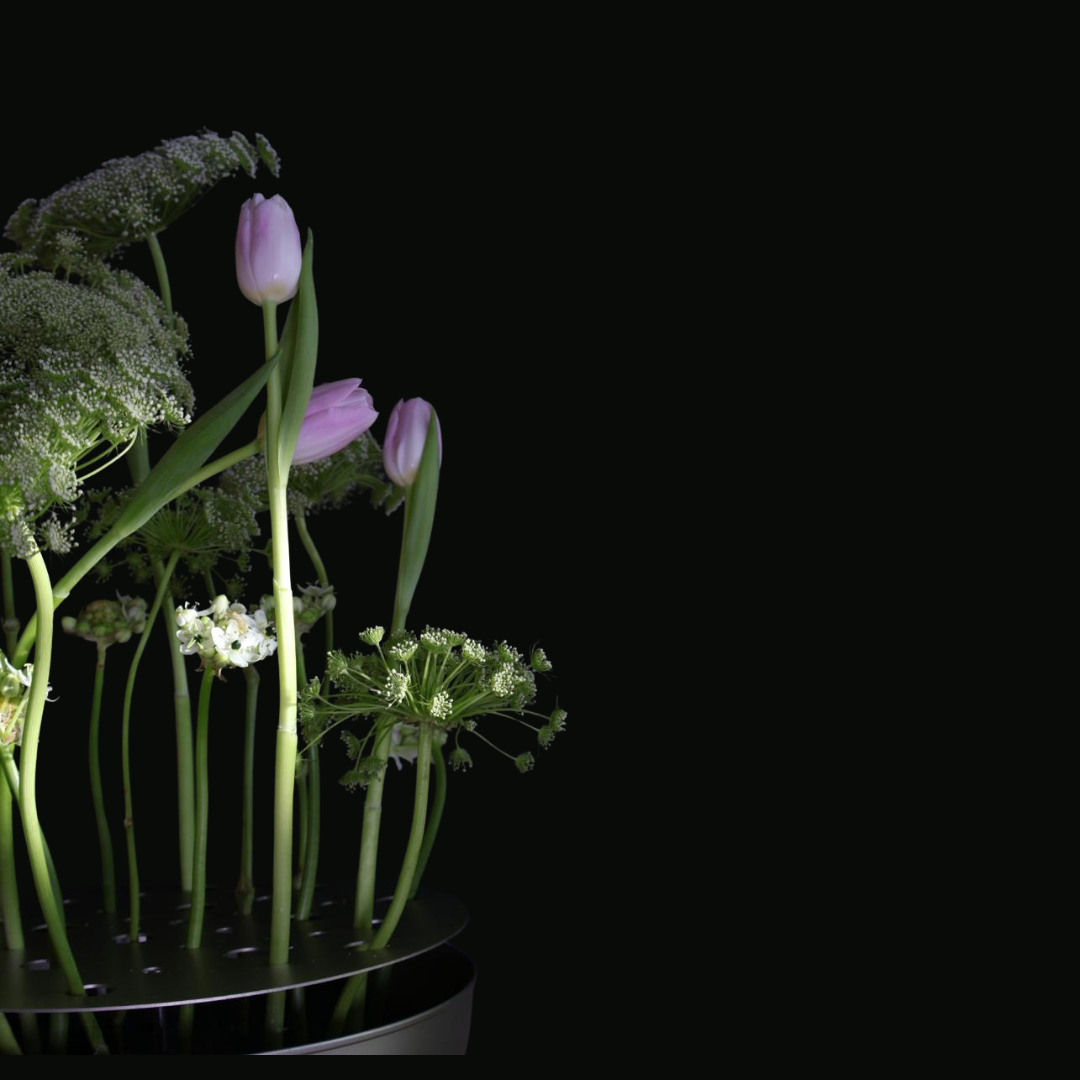 Whisper of the Lotus Pond