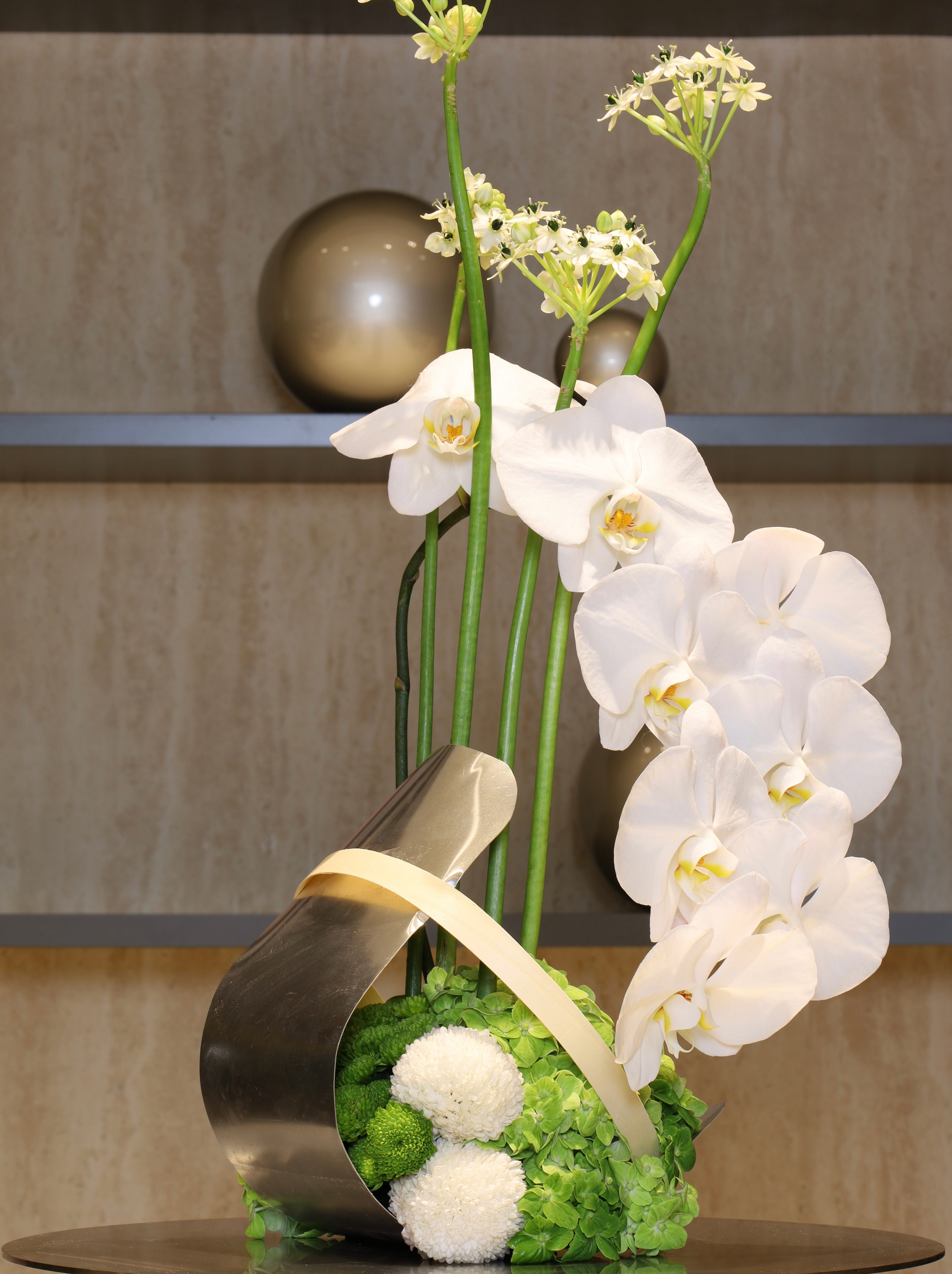 Linear Blooms Collection