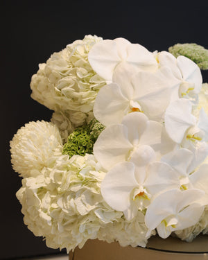 A close-up of a floral arrangement featuring white orchids, cream hydrangeas, and small green filler blooms against a dark background.