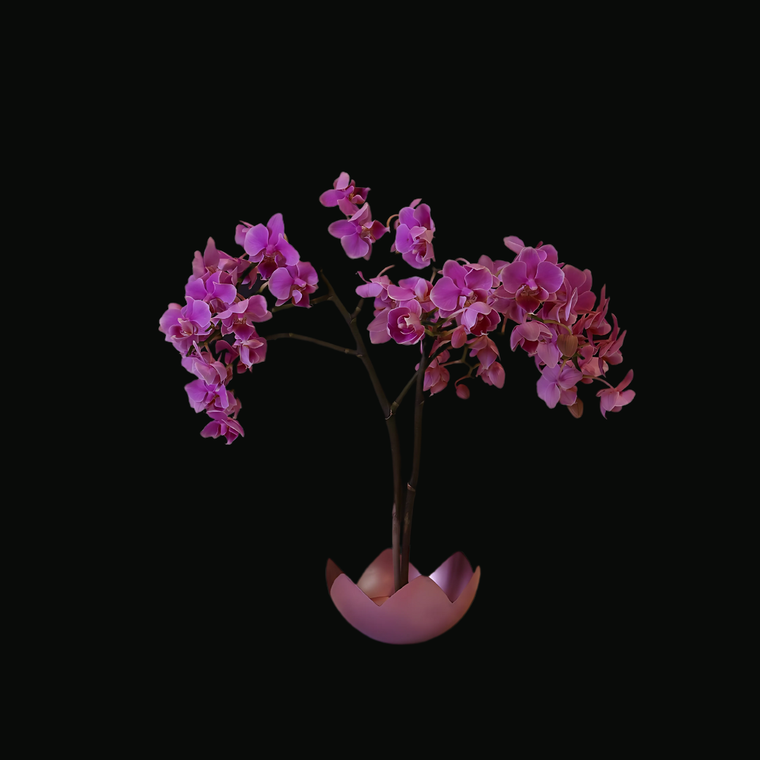 Whisper of the Lotus Pond