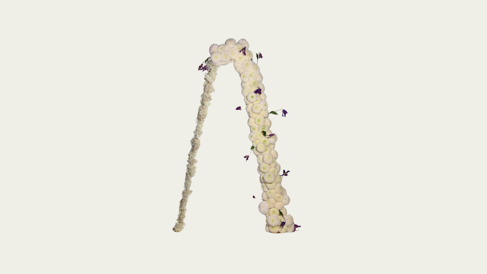 Arch Arrangement