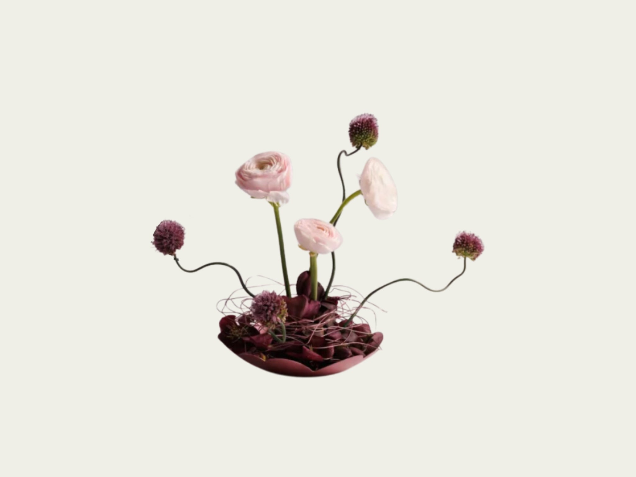 Sakura Blooms