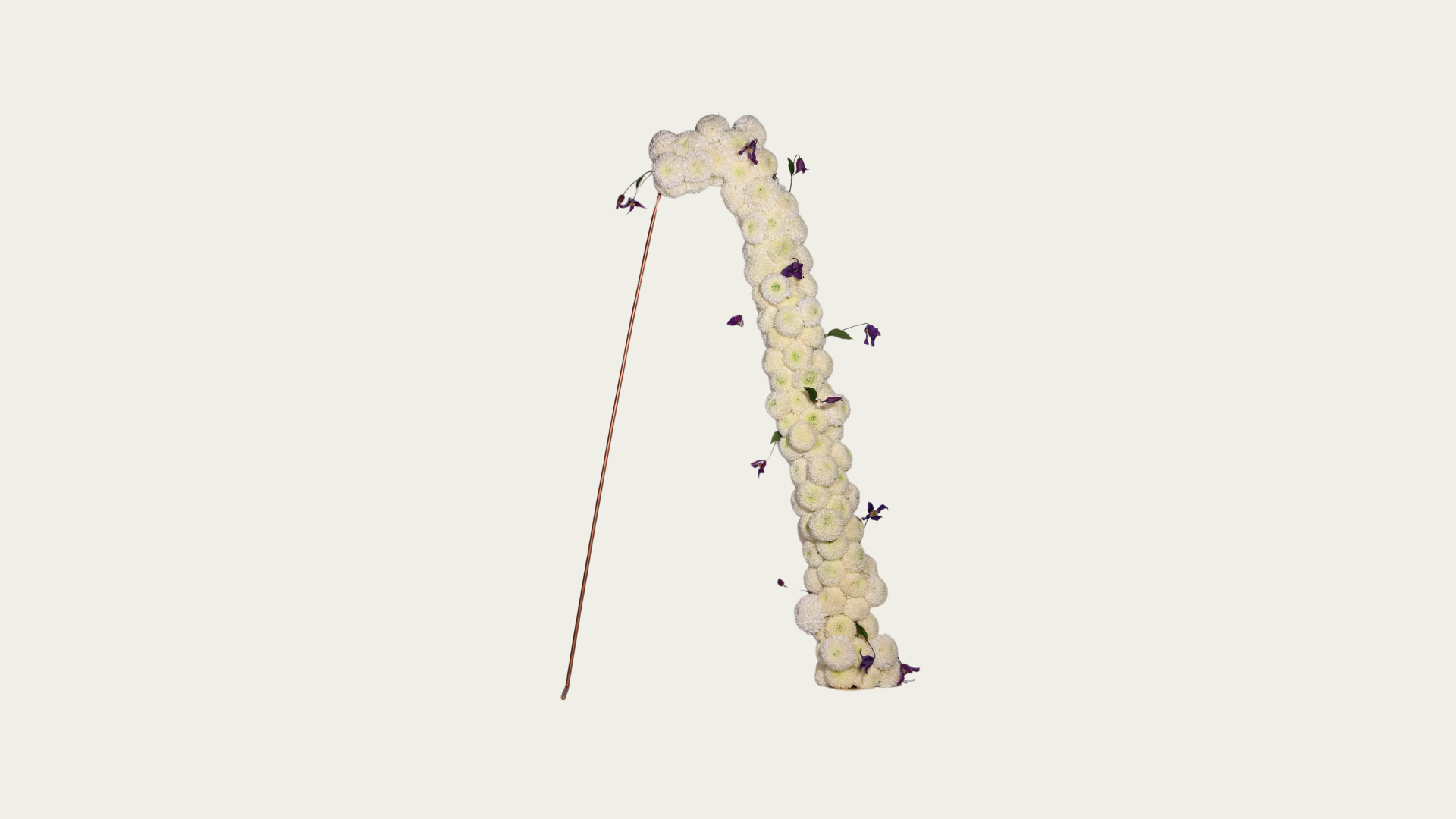 Arch Arrangement