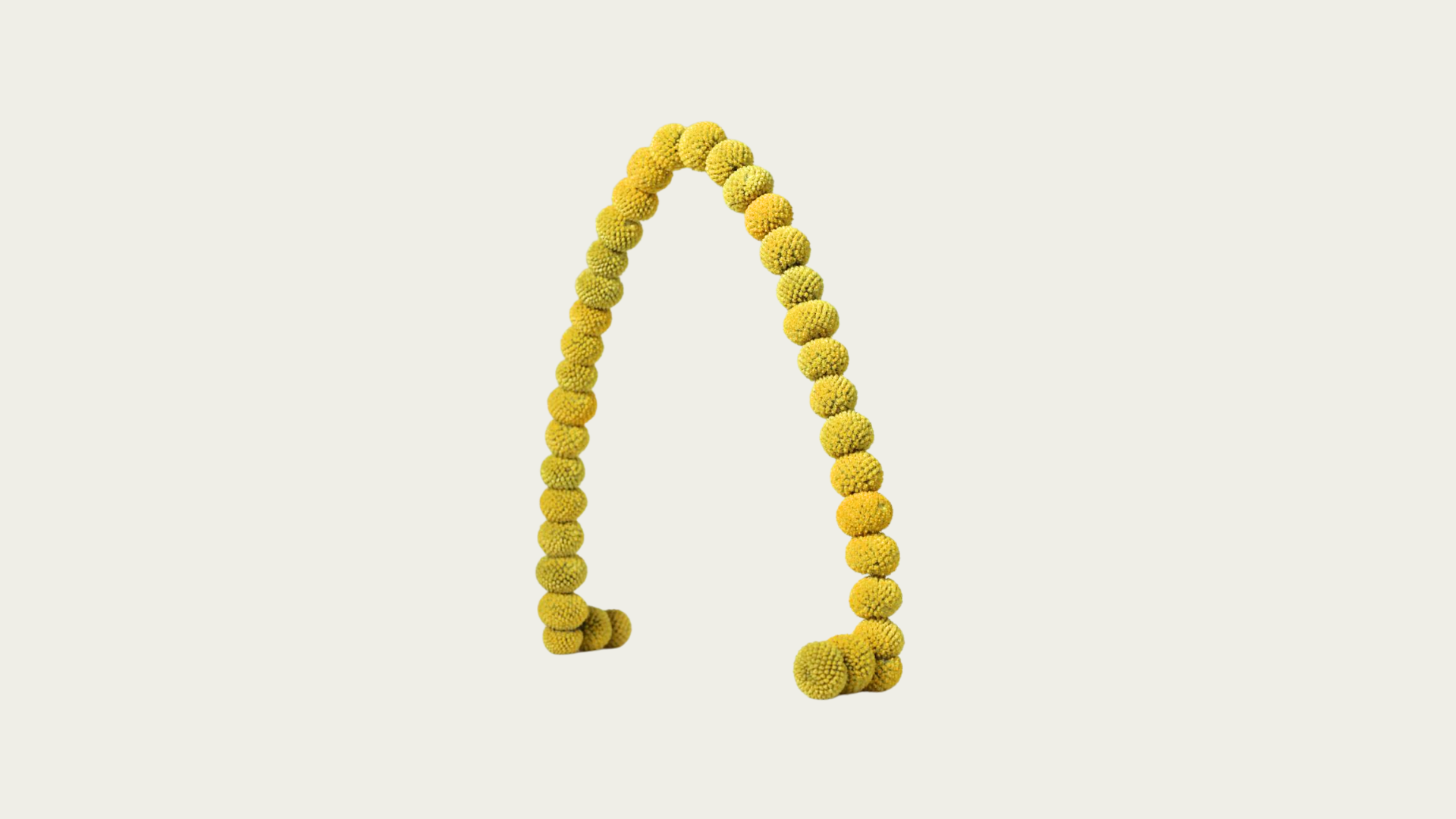 Arch Arrangement