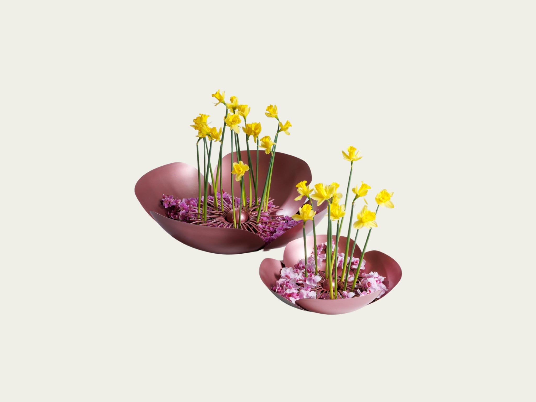 Sakura Blooms Small