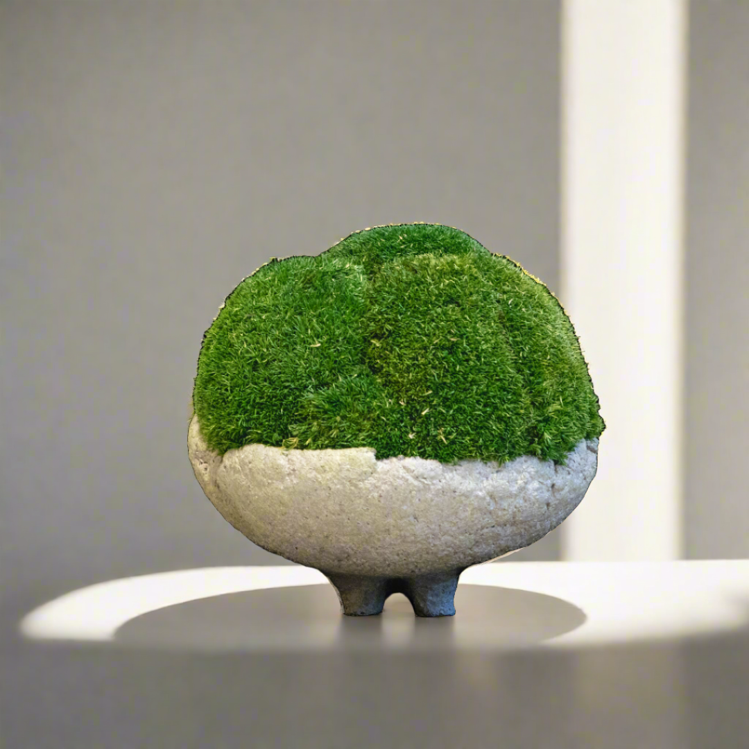 Moss Ball Arrangement -Mini Fito Vase