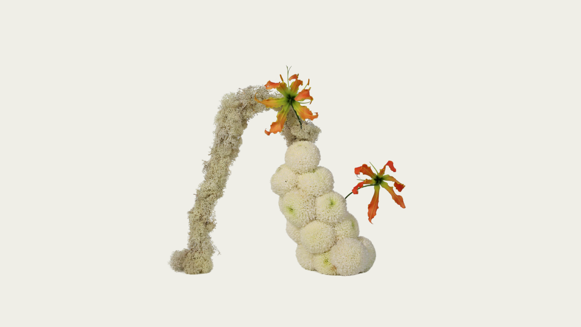 Arch Arrangement