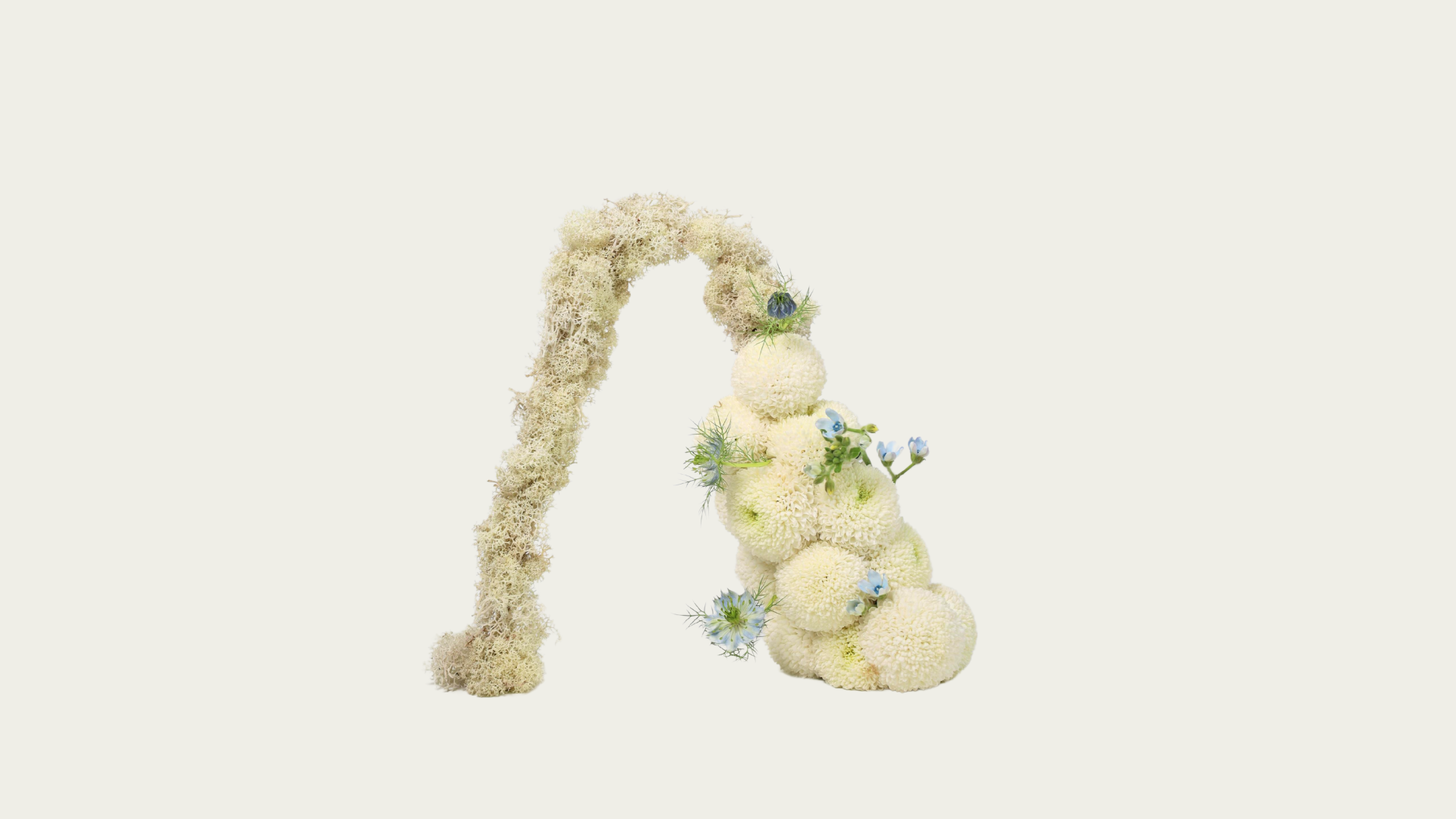 Arch Arrangement