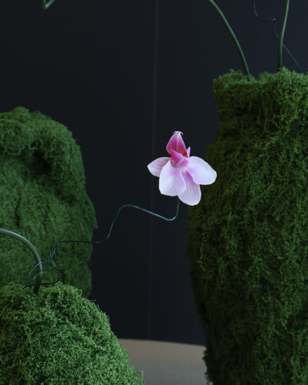 Flower Arrangements