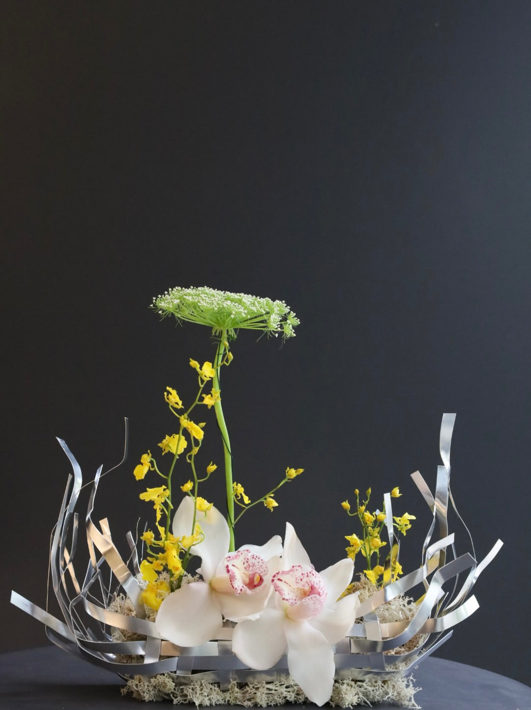 Linear Blooms Collection