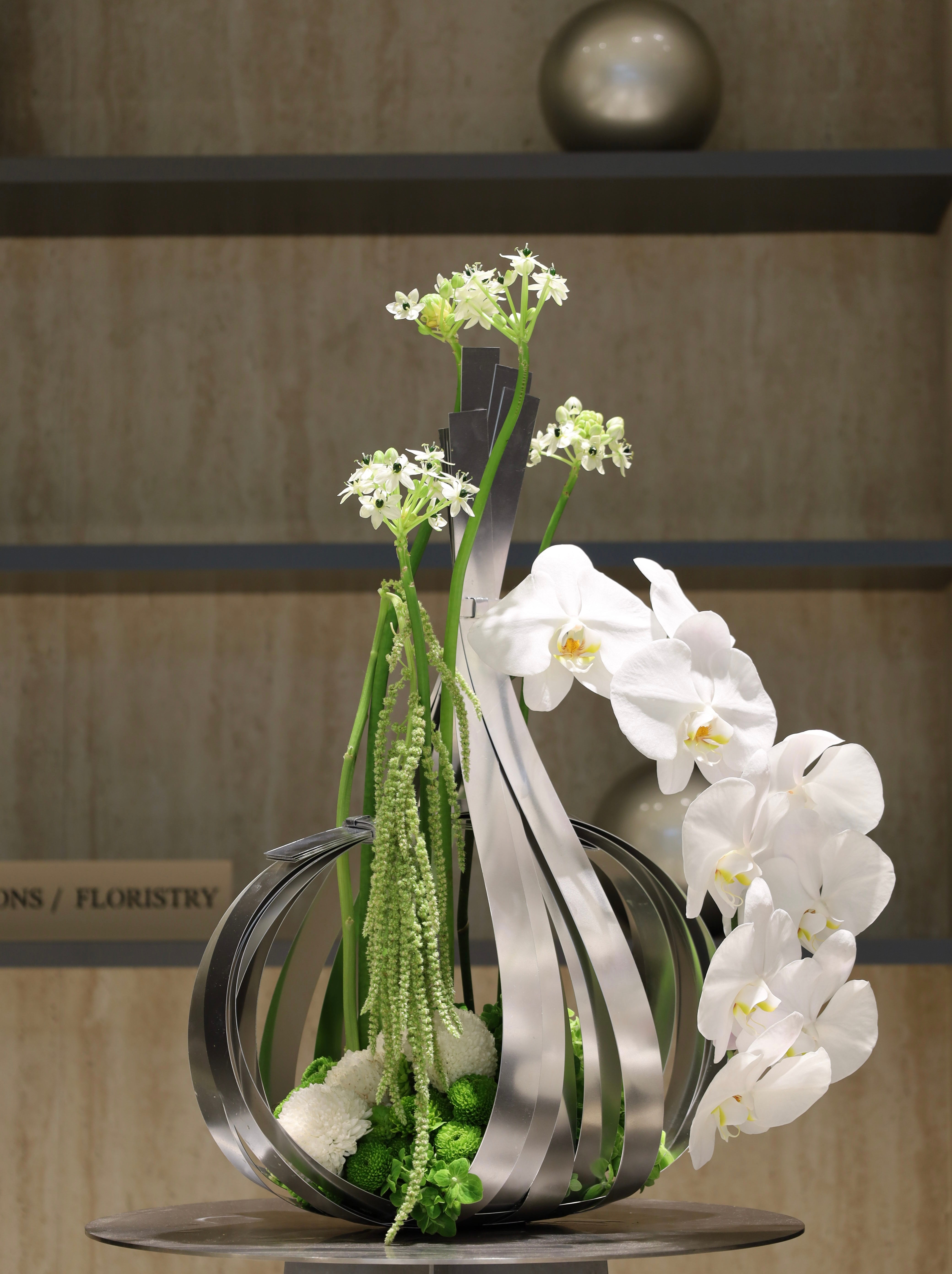 Linear Blooms Collection