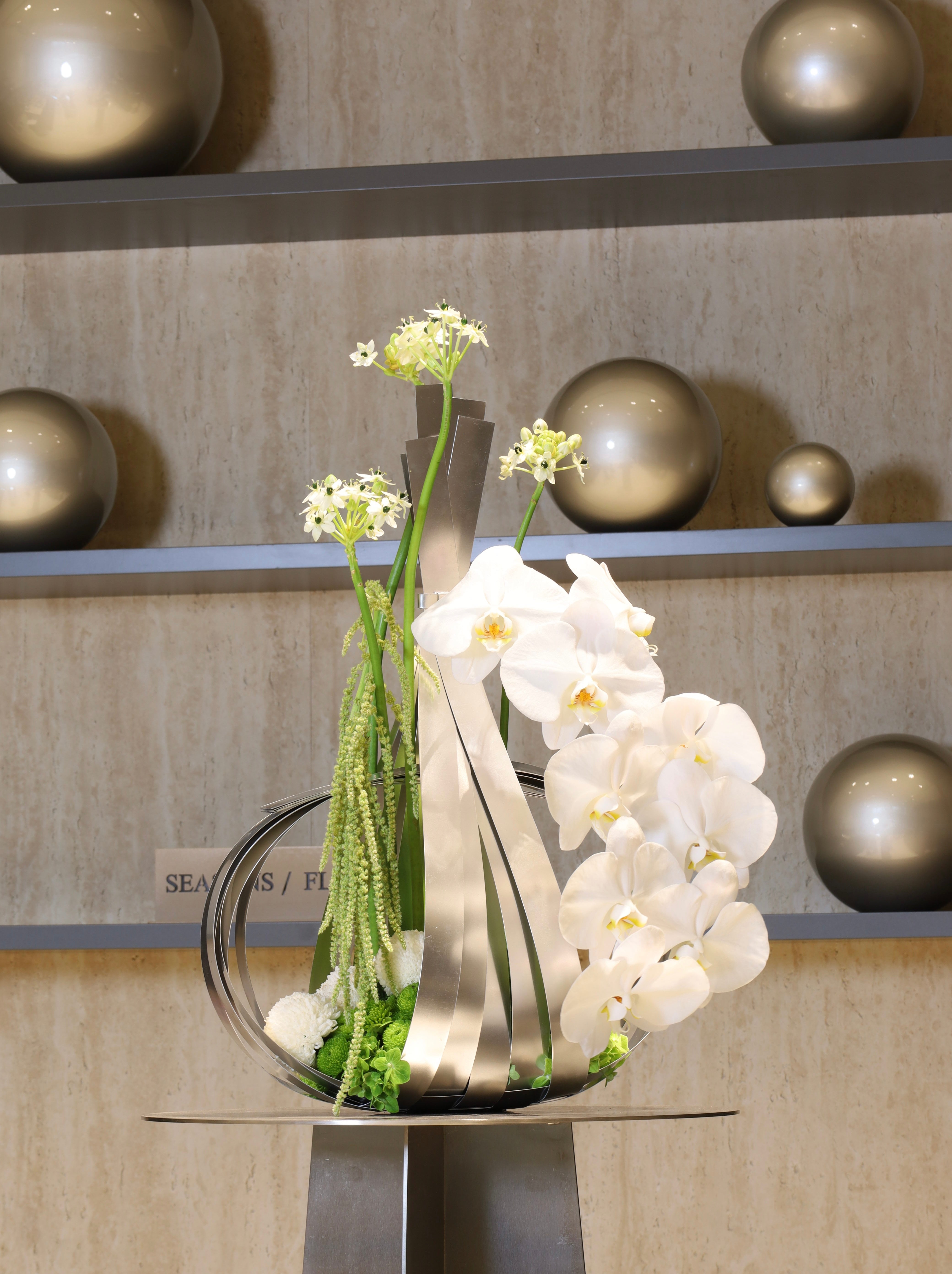 Linear Blooms Collection