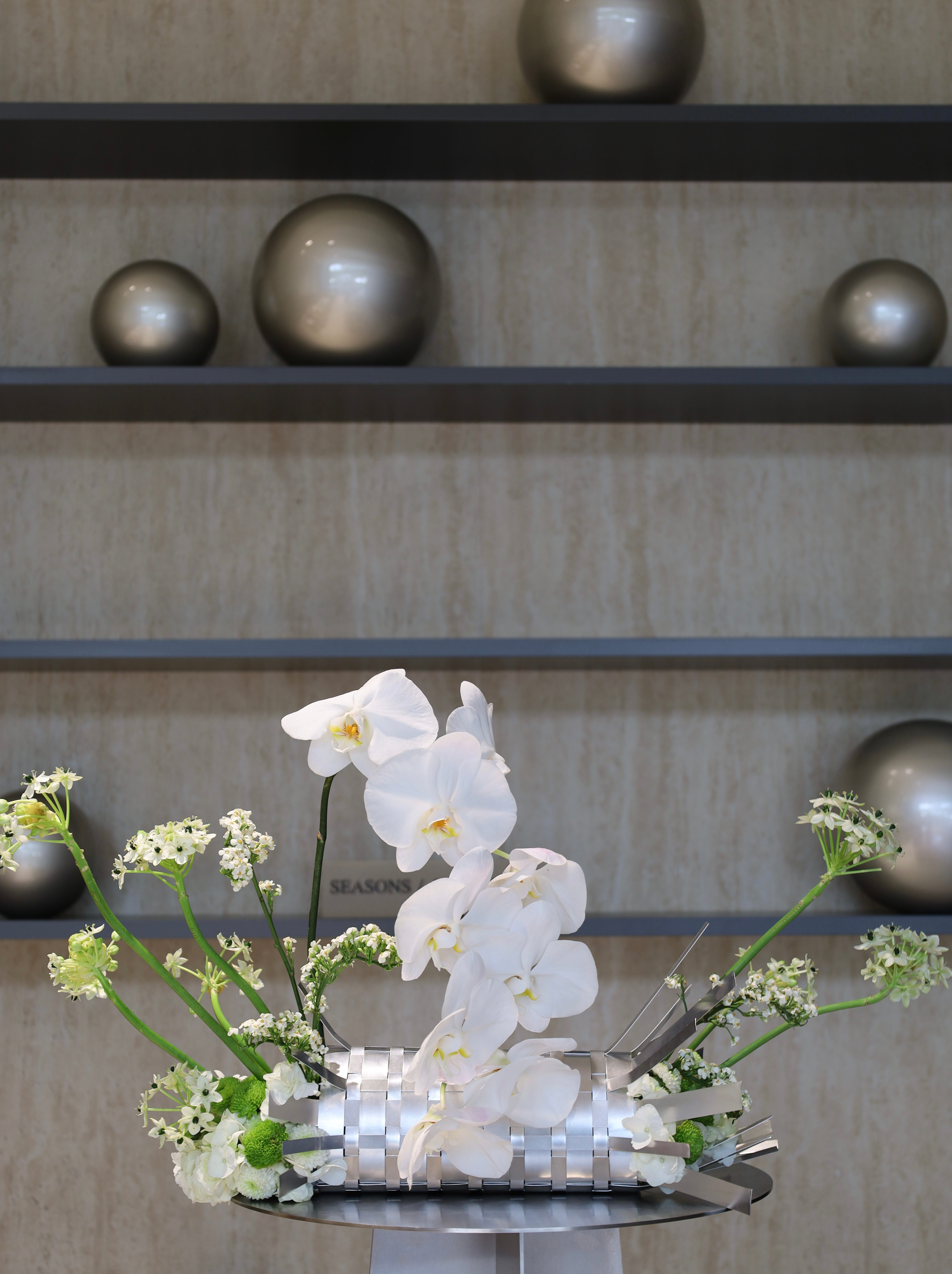 Linear Blooms Collection