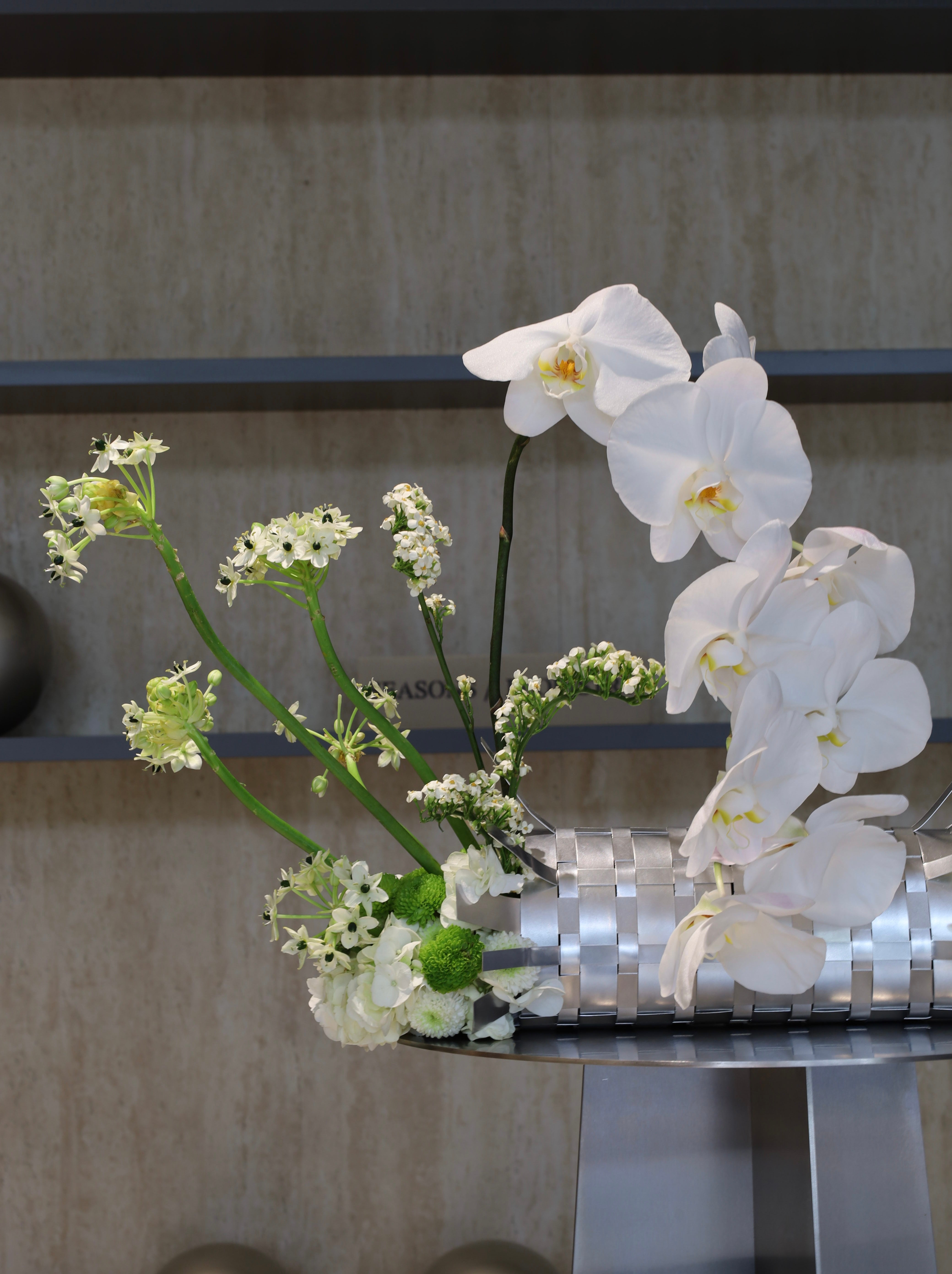 Linear Blooms Collection