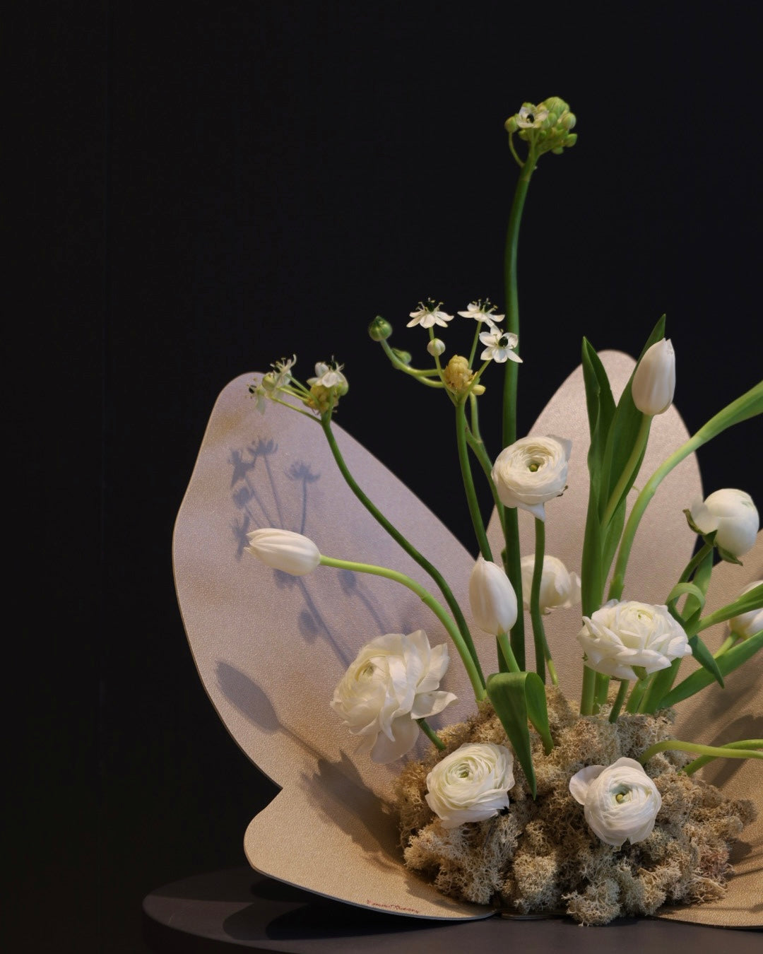 Bloom & Beauty