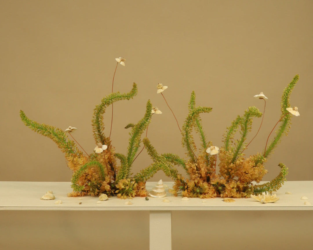 Flower Arrangements