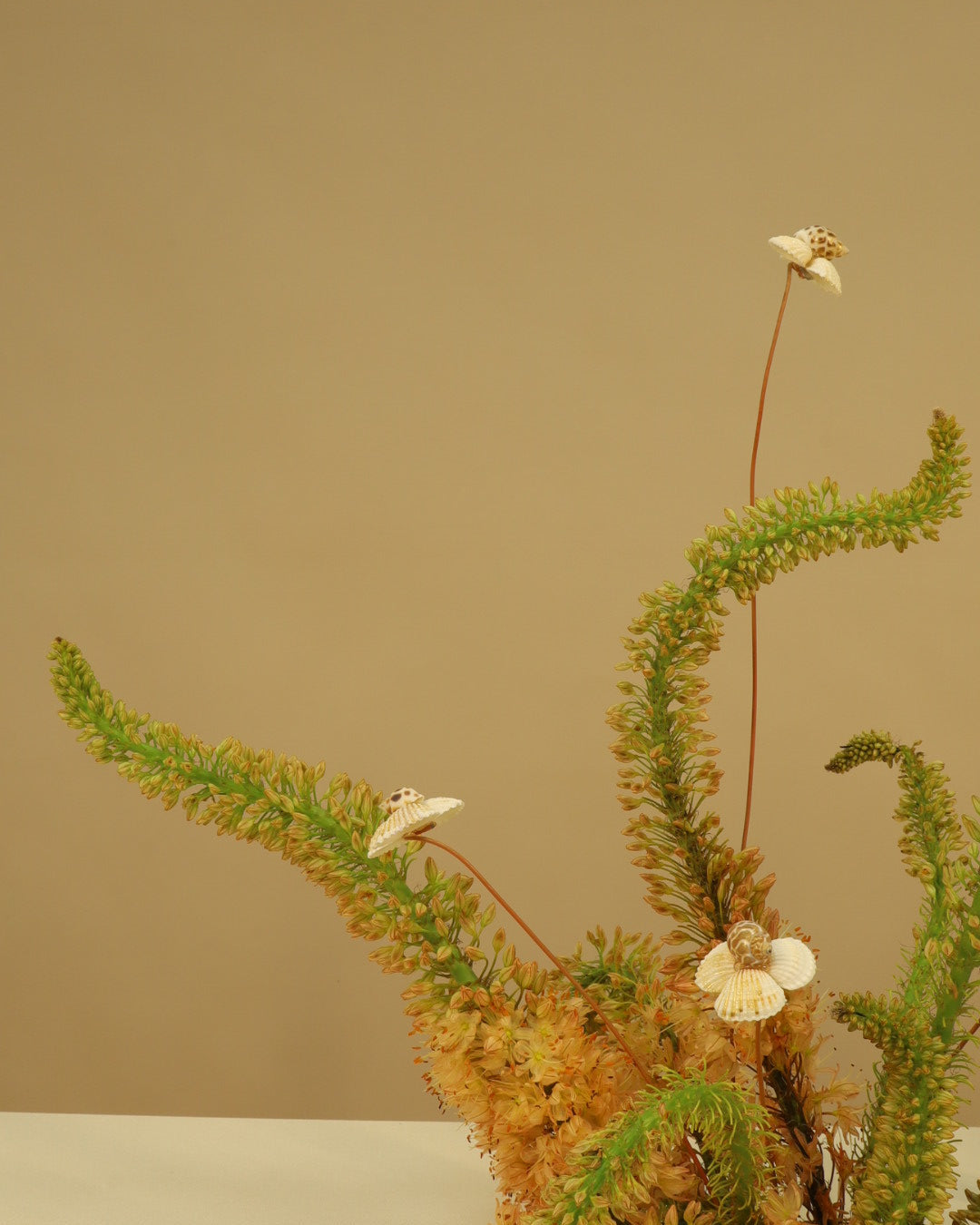 Flower Arrangements