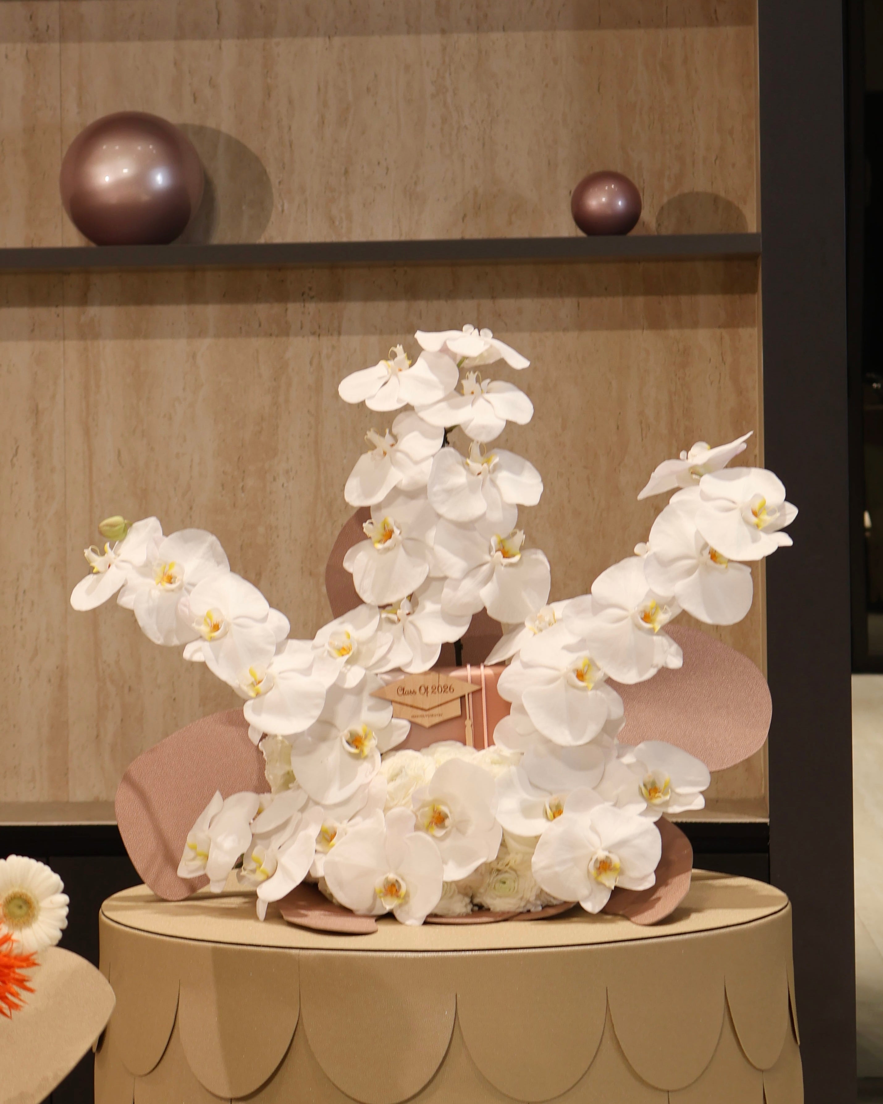 Bloom & Beauty