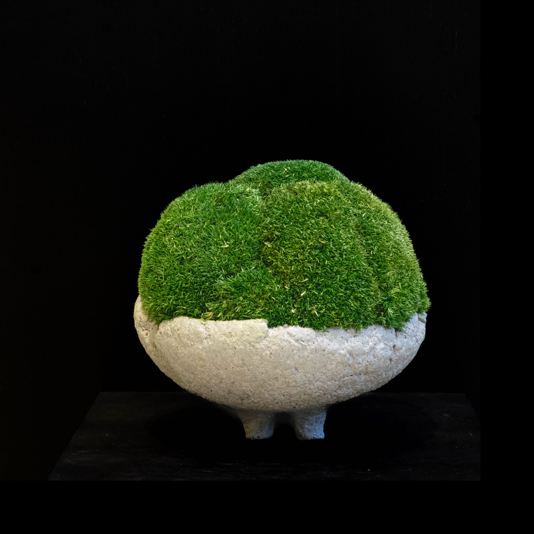 Moss Ball Arrangement -Mini Fito Vase